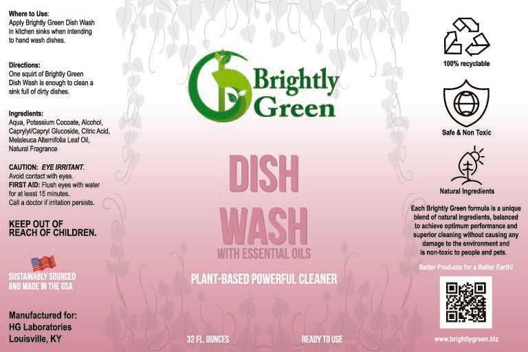 Dish Wash – Brightly Green