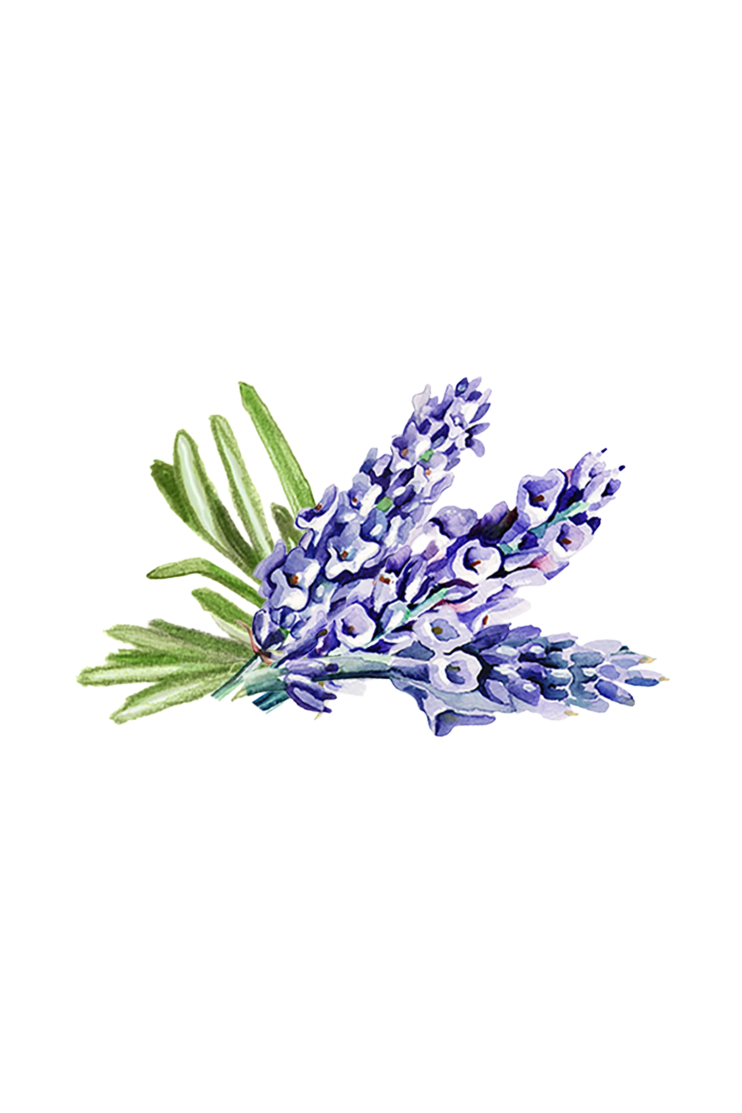 Hand soap: Soothing Herb - Rustic Strength