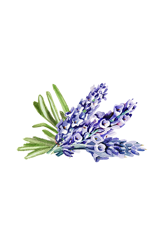 Hand soap: Soothing Herb - Rustic Strength